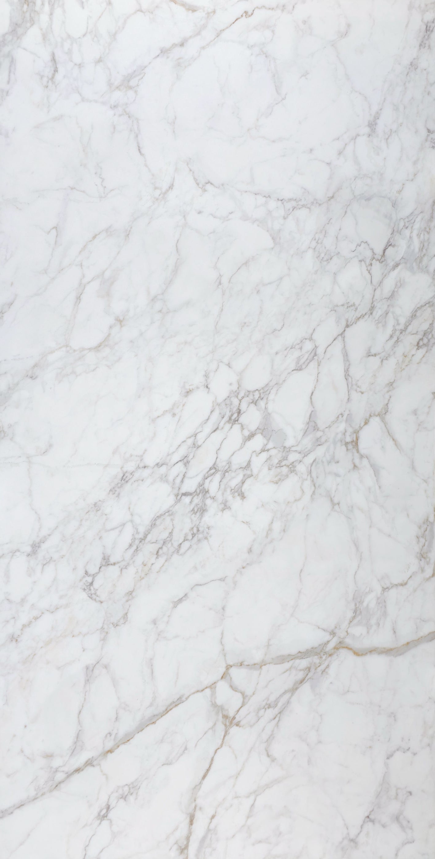 Miele – SLABB DESIGNS